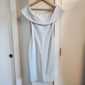 Aritzia Ruslan Dress
